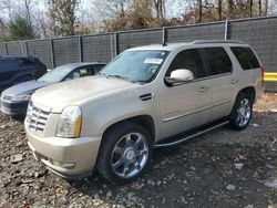 Cadillac Vehiculos salvage en venta: 2008 Cadillac Escalade Luxury