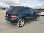 2006 Mercedes-Benz ML 500