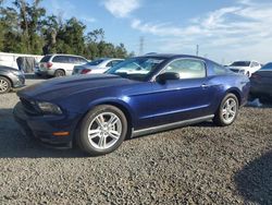 Carros salvage sin ofertas aún a la venta en subasta: 2010 Ford Mustang