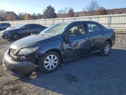 Run And Drives Cars for sale at auction: 2010 Toyota Corolla Base