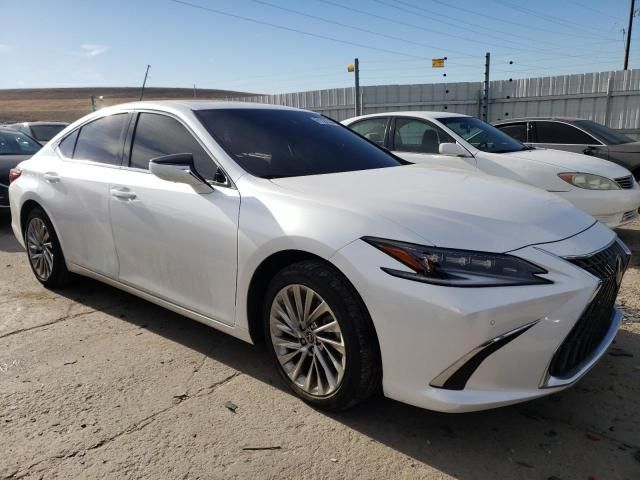 2023 Lexus ES 250 Base