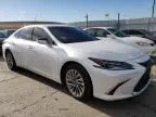 2023 Lexus ES 250 Base