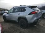 2023 Toyota Rav4 SE