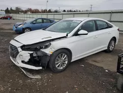 Salvage cars for sale at Pennsburg, PA auction: 2018 Hyundai Sonata SE