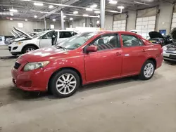 Toyota salvage cars for sale: 2010 Toyota Corolla Base