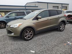 2013 Ford Escape SEL en venta en Earlington, KY