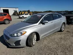 Salvage cars for sale at Lumberton, NC auction: 2019 Ford Fusion SE