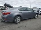 2013 Lexus ES 300H