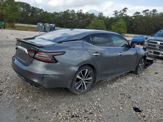 2020 Nissan Maxima SV