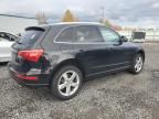 2010 Audi Q5 Premium Plus