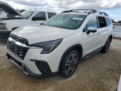 Salvage cars for sale at Arcadia, FL auction: 2023 Subaru Ascent Touring