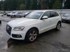 2013 Audi Q5 Premium Hybrid