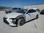 2023 Lexus ES 250 Base