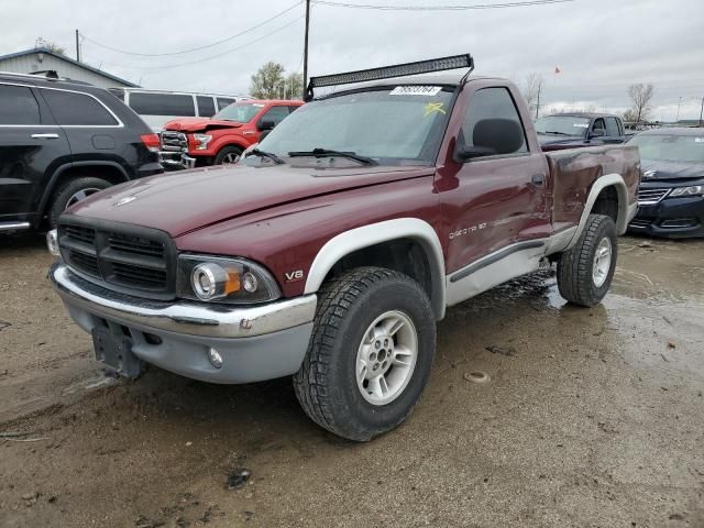 2000 Dodge Dakota