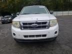 2012 Ford Escape XLS