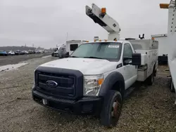 Salvage cars for sale from Copart Cicero, IN: 2012 Ford F450 Super Duty