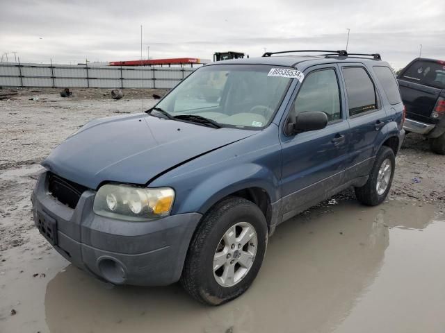 2005 Ford Escape XLT