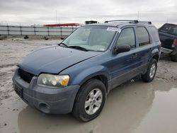 2005 Ford Escape XLT en venta en Cahokia Heights, IL