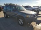 2005 Ford Escape XLS