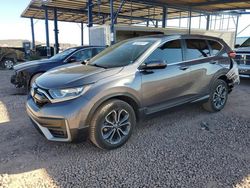 Salvage cars for sale at Phoenix, AZ auction: 2020 Honda CR-V EXL