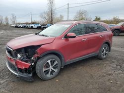 2016 KIA Sorento EX en venta en Montreal Est, QC