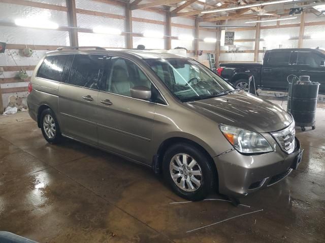 2010 Honda Odyssey EXL