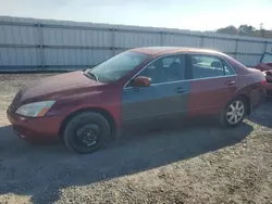 Run And Drives Cars for sale at auction: 2005 Honda Accord EX