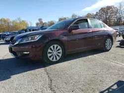 Honda Accord exl salvage cars for sale: 2013 Honda Accord EXL