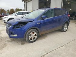 Salvage cars for sale at Columbia, MO auction: 2013 Ford Escape SE