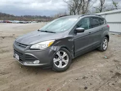 Ford Escape se salvage cars for sale: 2014 Ford Escape SE