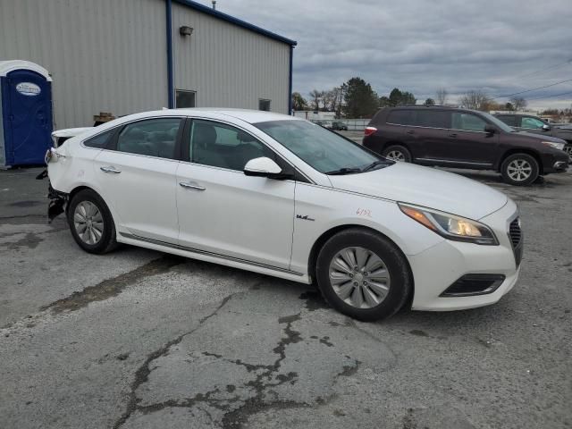 2016 Hyundai Sonata Hybrid