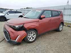 Salvage cars for sale at Anderson, CA auction: 2024 KIA Soul LX