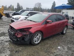 Salvage cars for sale at Graham, WA auction: 2017 Ford Focus SE