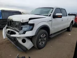 Salvage cars for sale at Brighton, CO auction: 2013 Ford F150 Supercrew