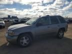 2007 Chevrolet Trailblazer LS