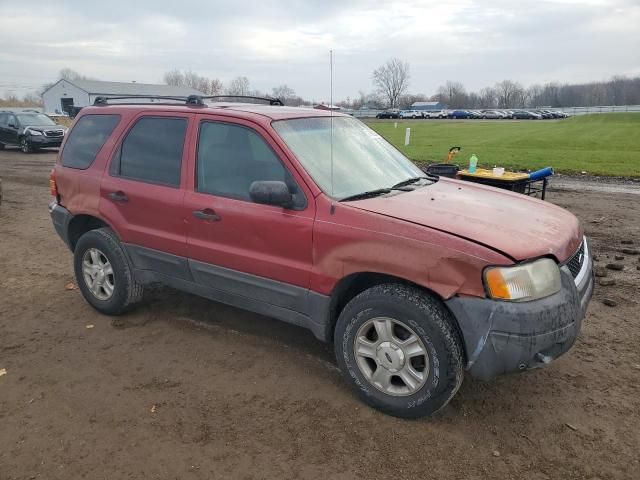 2004 Ford Escape XLT