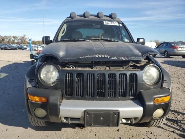 2003 Jeep Liberty Renegade