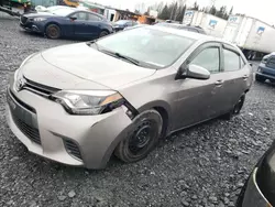 Salvage cars for sale at Montreal Est, QC auction: 2015 Toyota Corolla L