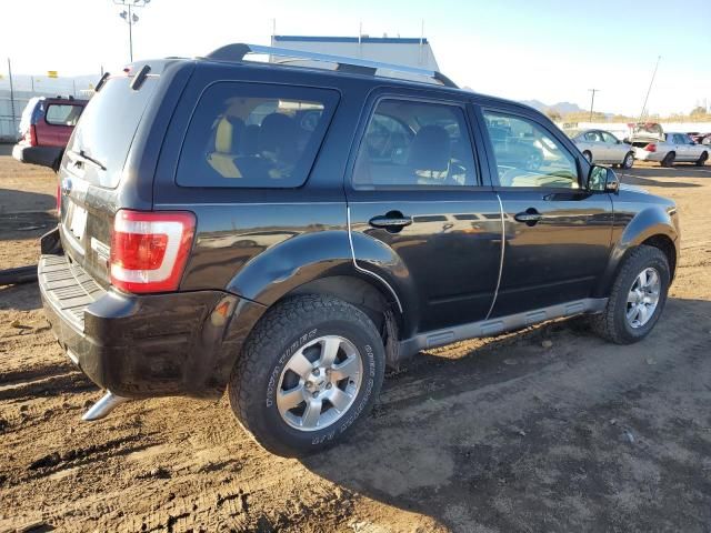 2010 Ford Escape Limited