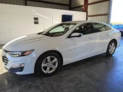 Chevrolet salvage cars for sale: 2019 Chevrolet Malibu LS