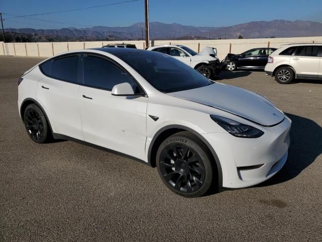 2020 Tesla Model Y