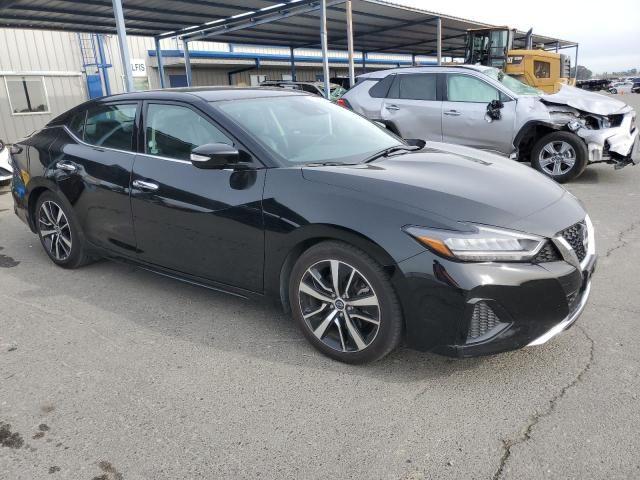 2023 Nissan Maxima SV