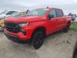 Salvage cars for sale at Riverview, FL auction: 2024 Chevrolet Silverado K1500 Trail Boss Custom