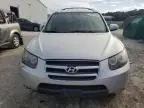 2007 Hyundai Santa FE SE