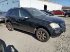 2007 Mercedes-Benz ML 350