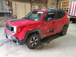 2020 Jeep Renegade Trailhawk en venta en Rapid City, SD