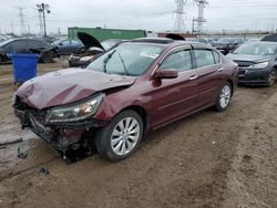 Salvage cars for sale at Elgin, IL auction: 2014 Honda Accord EXL