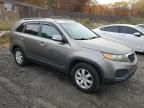 2011 KIA Sorento Base