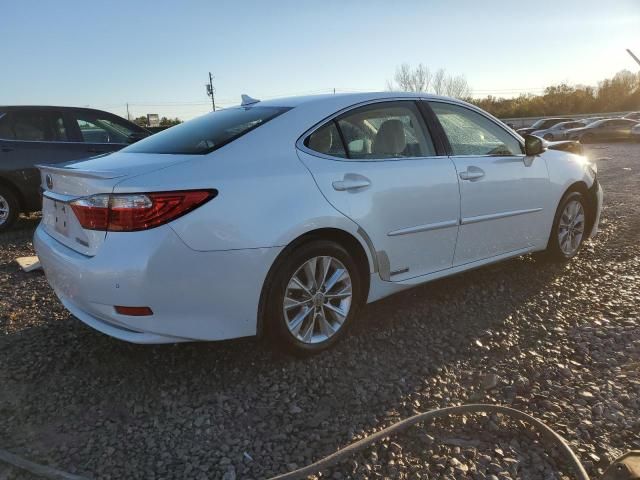 2013 Lexus ES 300H