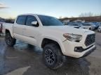 2023 Toyota Tacoma Double Cab